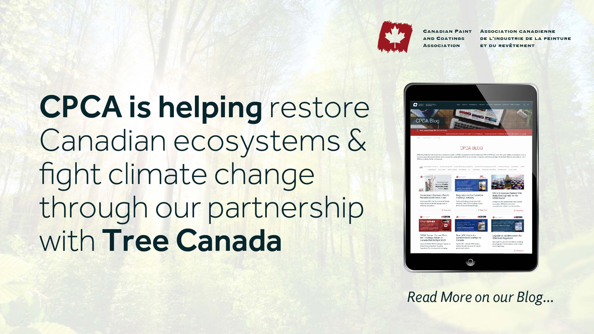 CCA & Tree Canada