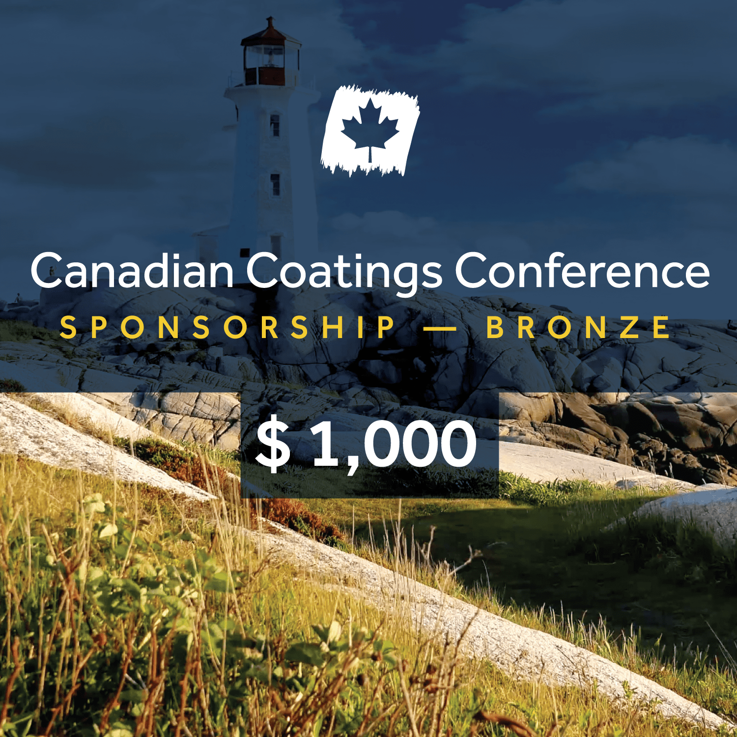 Bronze Sponsorship